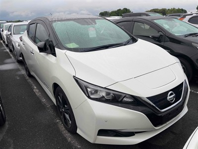 2019 Nissan Leaf