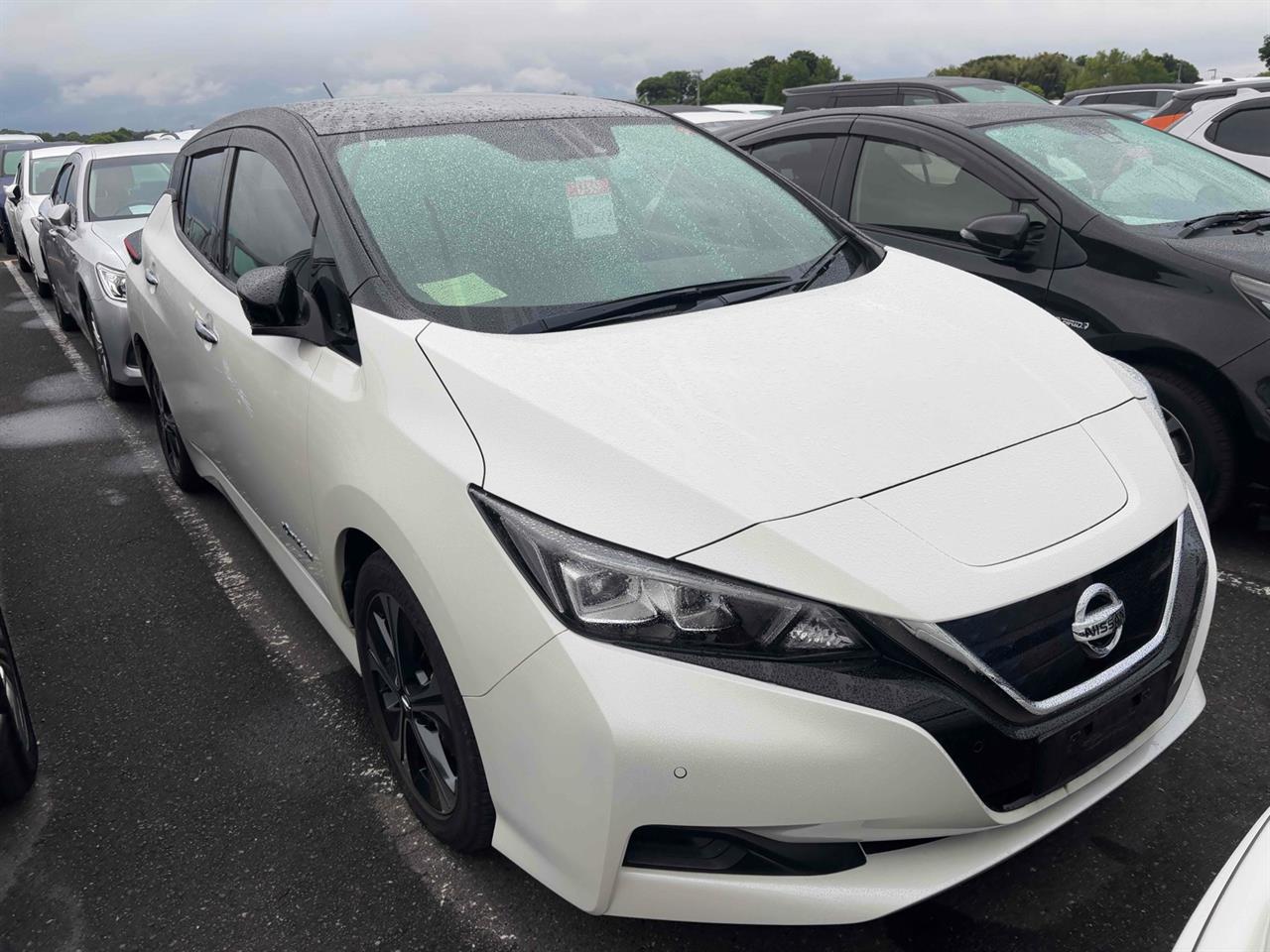 2019 Nissan Leaf