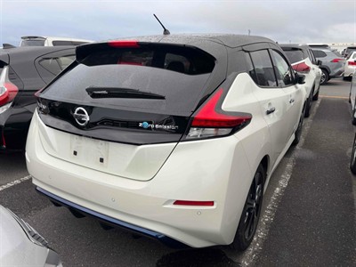 2019 Nissan Leaf - Thumbnail