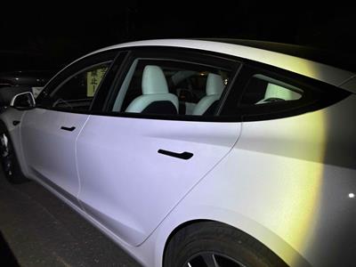 2025 Tesla Model 3 - Thumbnail