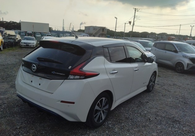 2019 Nissan Leaf