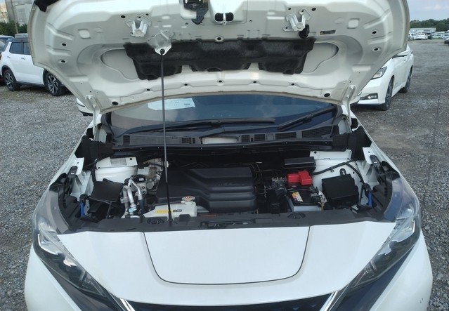 2019 Nissan Leaf