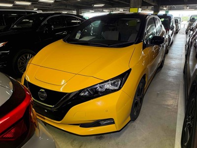 2019 Nissan Leaf