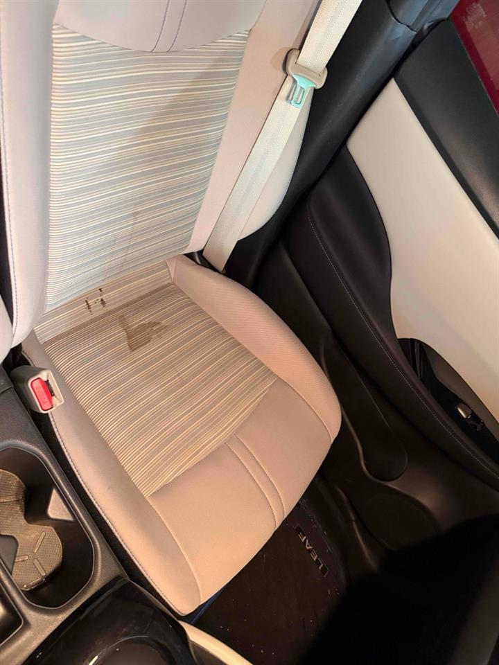 2019 Nissan Leaf