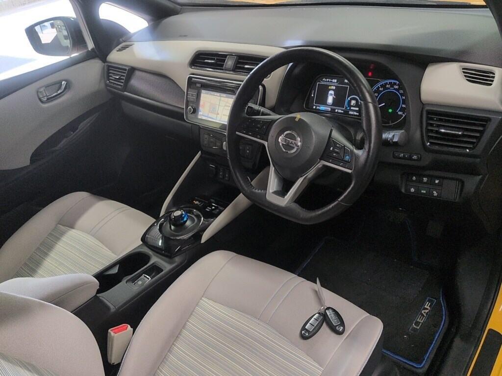 2019 Nissan Leaf