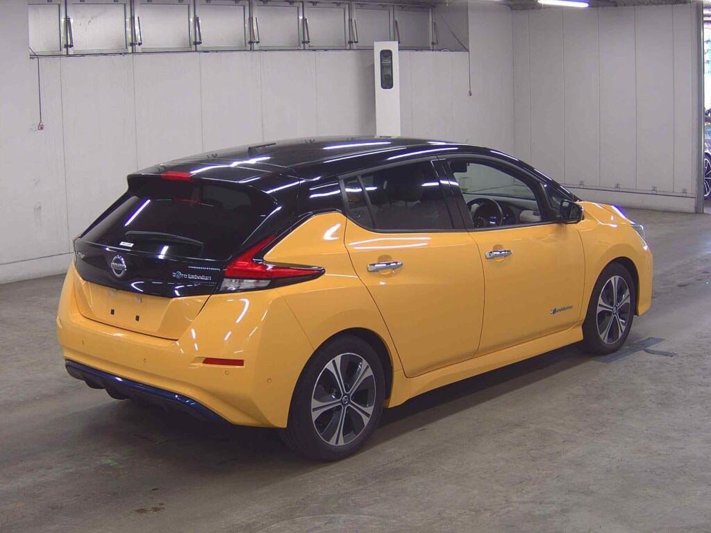 2019 Nissan Leaf