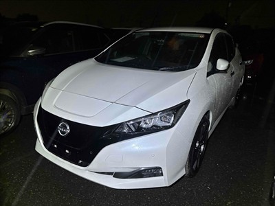 2022 Nissan Leaf
