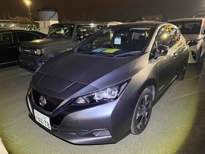 2019 Nissan Leaf