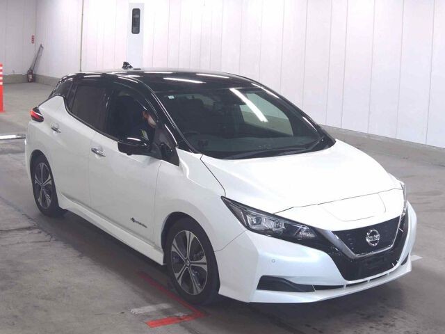 2021 Nissan Leaf