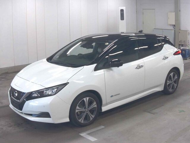 2021 Nissan Leaf