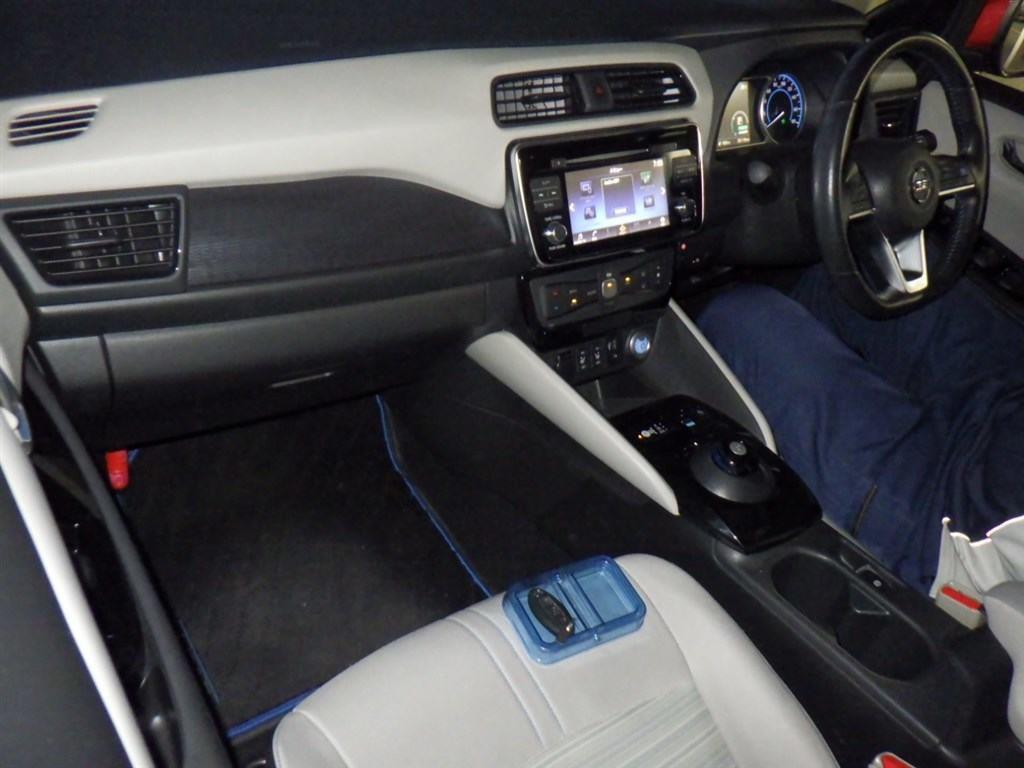 2019 Nissan Leaf