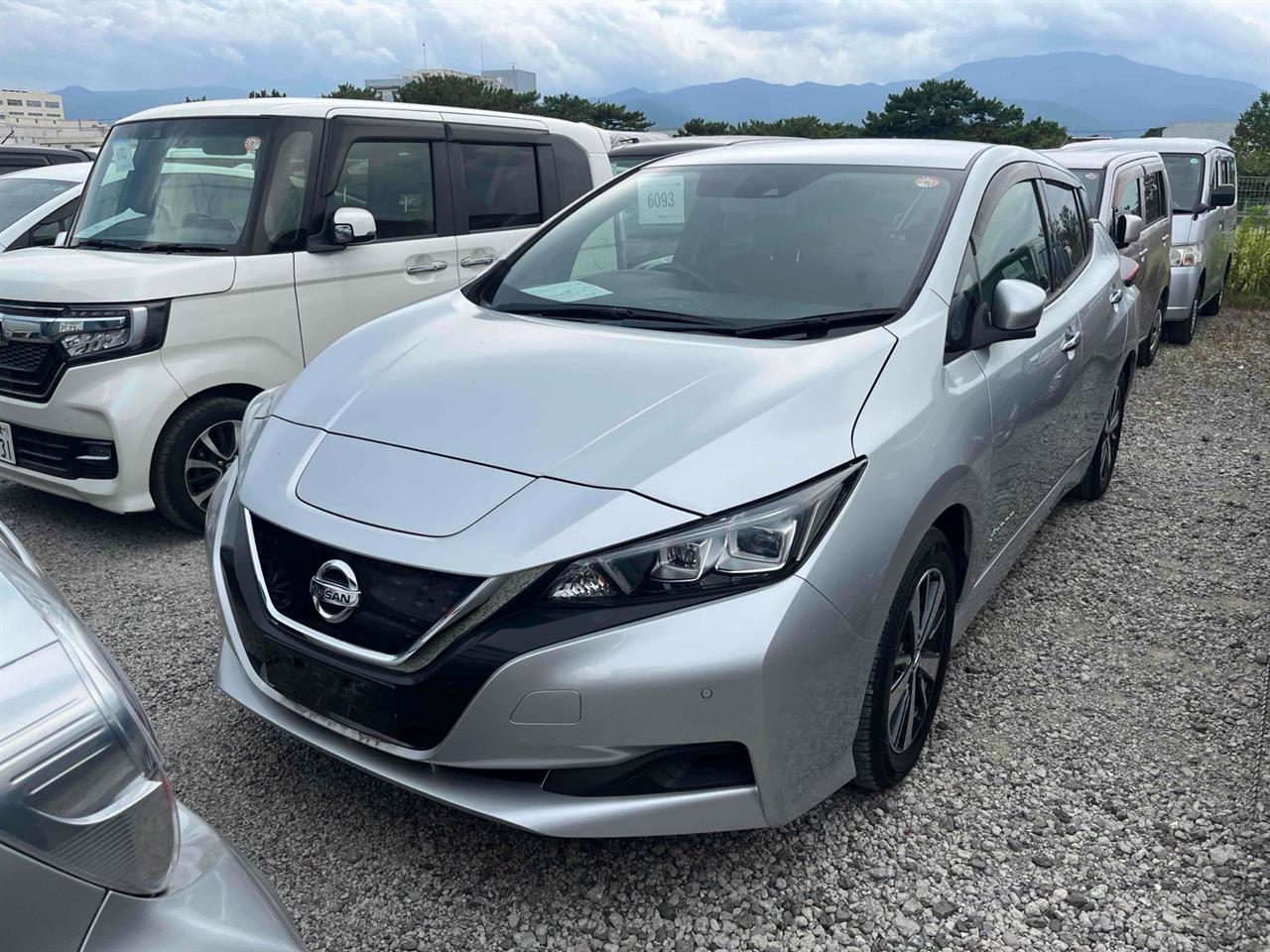 2020 Nissan Leaf