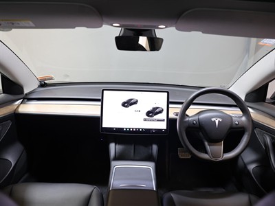 2021 Tesla Model 3 - Thumbnail