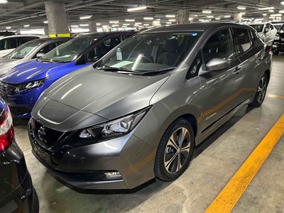 2018 Nissan Leaf