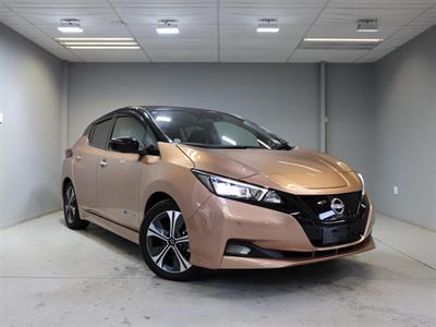 2021 Nissan Leaf