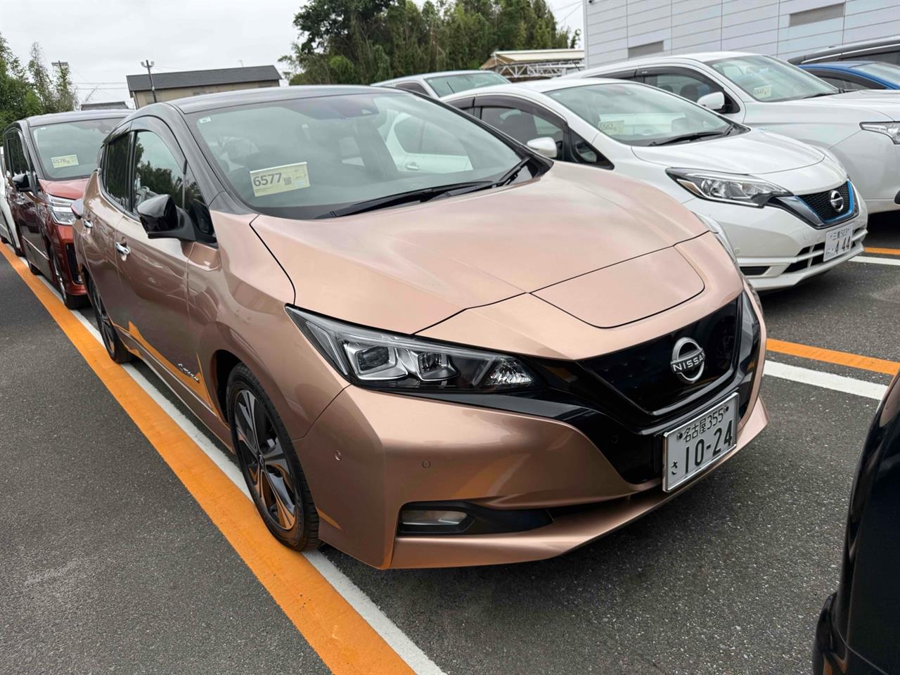 2021 Nissan Leaf