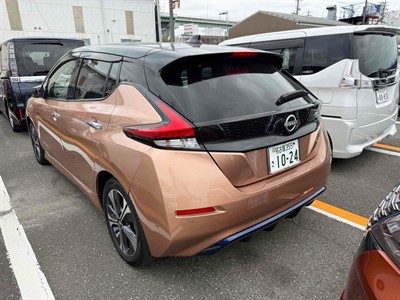 2021 Nissan Leaf - Thumbnail