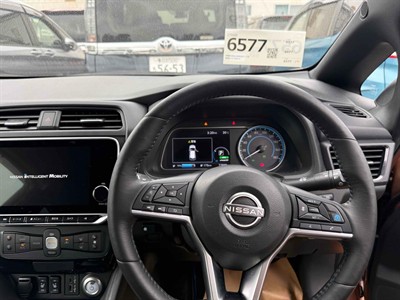2021 Nissan Leaf - Thumbnail
