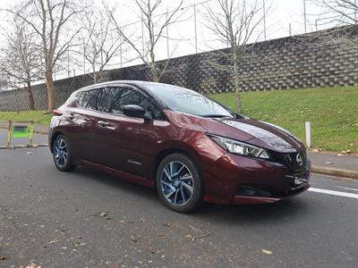 2021 Nissan Leaf