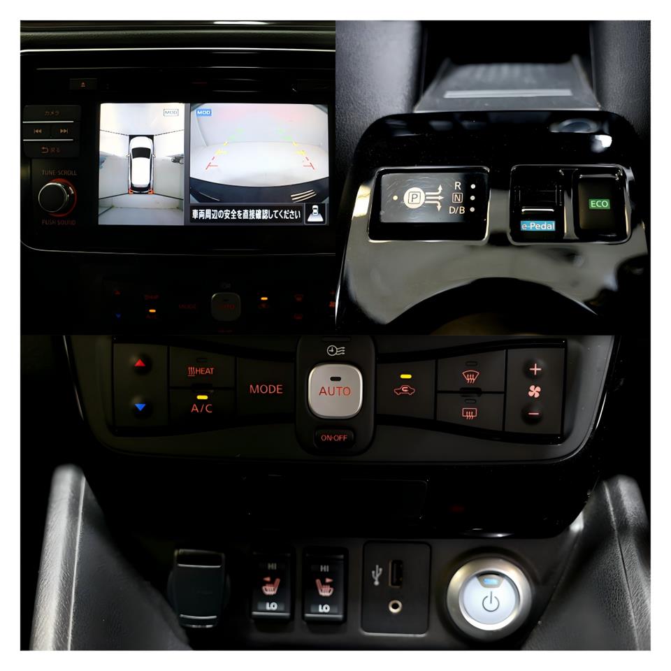 2019 Nissan Leaf