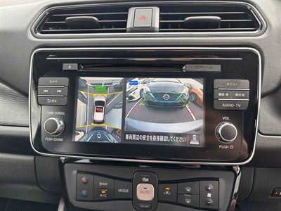 2019 Nissan Leaf - Thumbnail