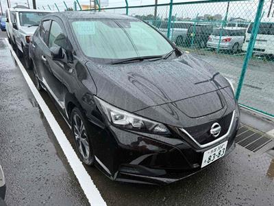 2019 Nissan Leaf