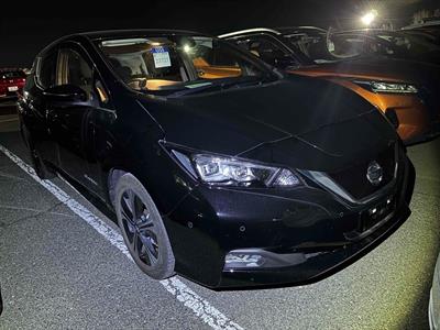 2019 Nissan Leaf