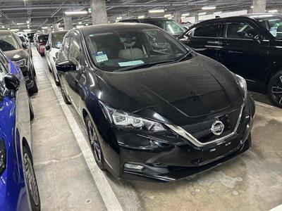 2019 Nissan Leaf