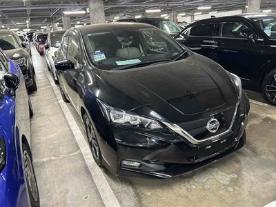 2019 Nissan Leaf