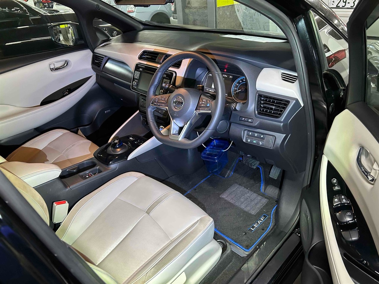 2019 Nissan Leaf