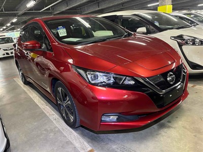 2019 Nissan Leaf
